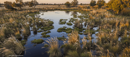 Okavango Eternal