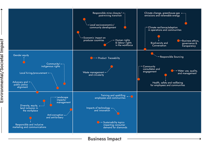 Materiality assessment