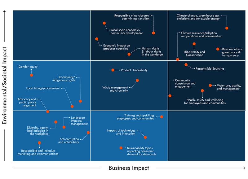 Materiality assessment