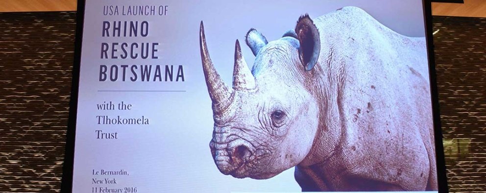 Forevermark, the de beers group of companies and explore, inc. Support rhino rescue in botswana