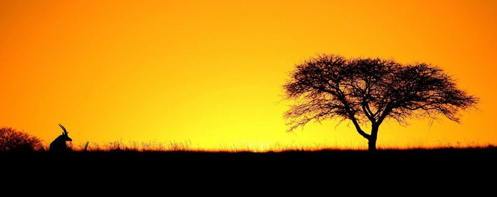 De beers group issues call for research submissions for leading conservation conference