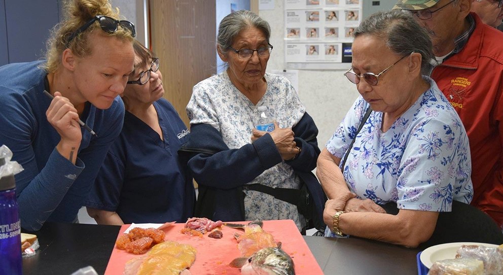 “Tastes like home” - elders attend Gahcho Kué mine fish tasting