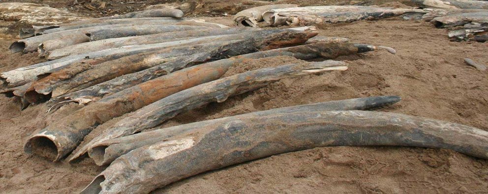 Namdeb receives African World Heritage Excellence Award