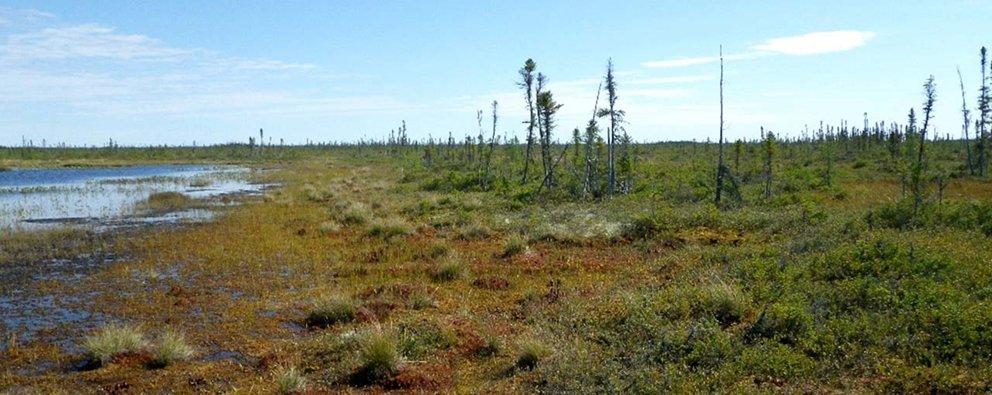 De Beers Victor Mine expanding research into local bird breeding study