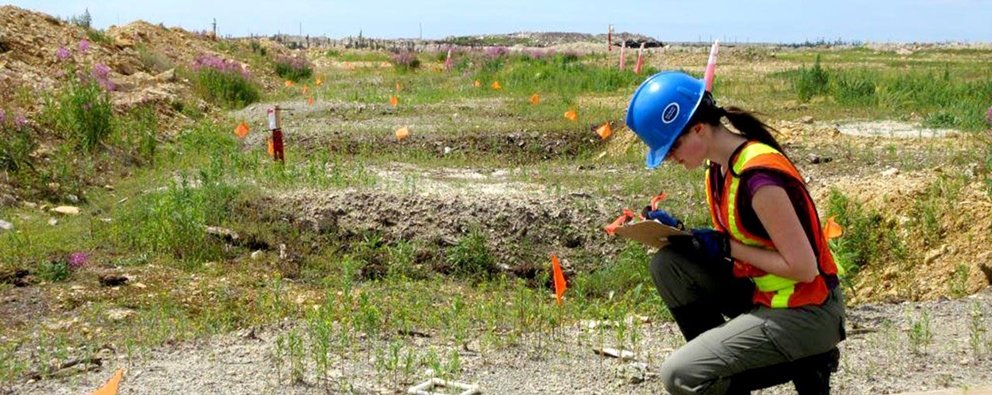 Award for innovative reclamation research of the De Beers Victor Mine