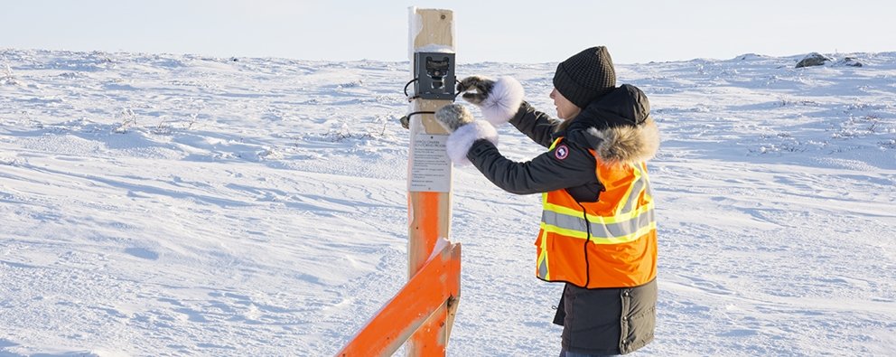 CAMERA NETWORK MONITORS CARIBOU ON GAHCHO KUÉ WINTER ROAD