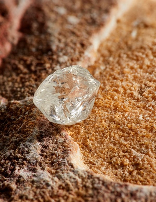 Production Report for the Second Quarter of 2025