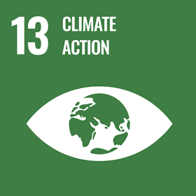 UN Sustainable Development Goal icon for Climate Action