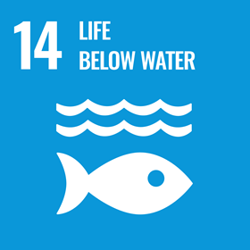 UN Sustainable Development Goal icon for Life Below Water