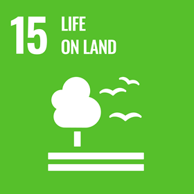 UN Sustainable Development Goal icon for  Life On Land