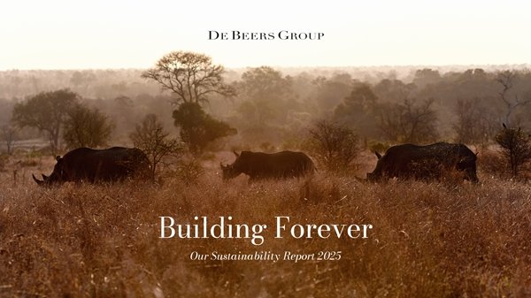 Three rhinoceroses walking through tall grass beneath “Building Forever” report title.